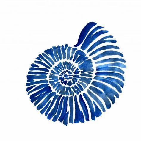 Ammonite Spiral
