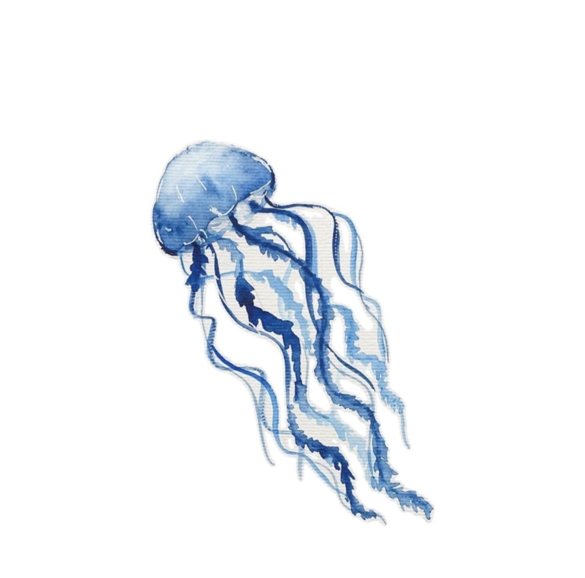 Jellyfish